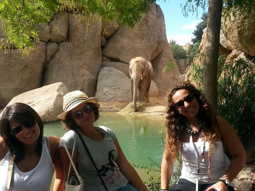 Drei Frauen in einem Zoo in Valencia, Aktivitaeten von unserer Schule